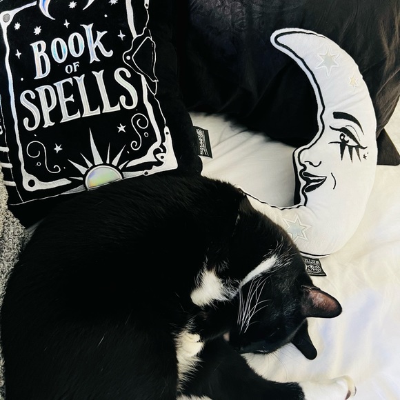 Meet your Posher, 𝒜𝚛ɪ𝔞 - Picture 3 of 4